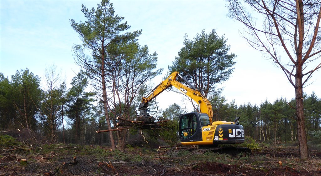 Bagger im Einsatz für den Naturschutz.  Foto: Sarina Pils, ÖNSOR