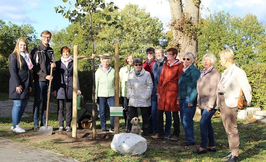 Die neu gepflanzte Winterlinde darf jetzt vielen Bienen Nahrung spenden.  
 Foto: eb