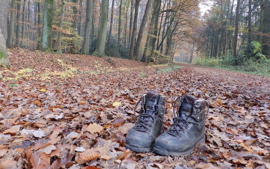 Zu einer Herbstwanderung mit anschließendem Grünkohlessen geht es am 18. November. Foto: Udo Fischer, TouROW