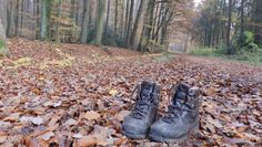 Zu einer Herbstwanderung mit anschließendem Grünkohlessen geht es am 18. November. Foto: Udo Fischer, TouROW