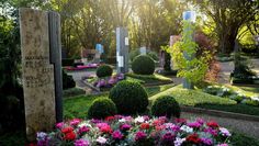 Herbststimmung auf dem Friedhof: Durch das Zusammenspiel von Licht und den sich verfärbenden Blättern entsteht eine besondere Atmosphäre.  Foto: djd