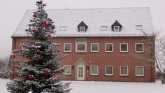 Ein hell erleuchteter Blickfang wird der große Weihnachtsbaum vorm Rathaus sein. Die Riesentanne wird wunderschön erstrahlen und ist reichlich geschmückt.  Foto: eb