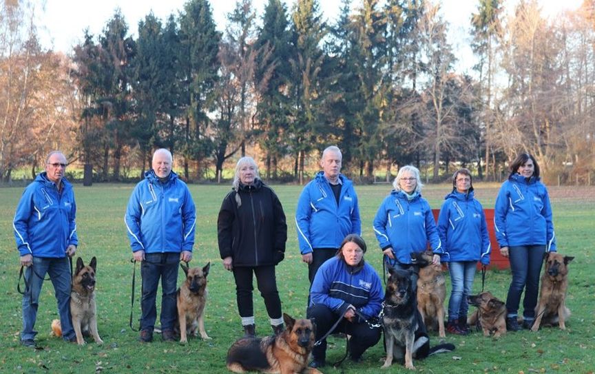 Die zur Prüfung angemeldeten Schäferhunde zeigten bei der Herbstprüfung eine beeindruckende Leistung. Foto: eb