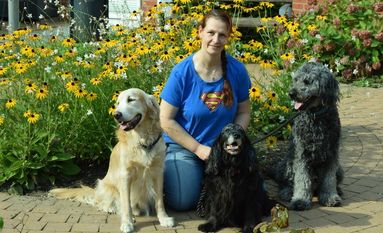 Die Hunde Cooper, fast 14-jähriger Golden Retriever und in Rente, Cocker Spaniel Fina, 9-jähriger Assistenzhund von Bennet und der 15-monatige Goldendoodle Willie von Lucan, hier mit Imke Bormann, hoffen, bald in eine neues Zuhause umziehen zu können. Foto: sr