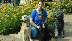 Die Hunde Cooper, fast 14-jähriger Golden Retriever und in Rente, Cocker Spaniel Fina, 9-jähriger Assistenzhund von Bennet und der 15-monatige Goldendoodle Willie von Lucan, hier mit Imke Bormann, hoffen, bald in eine neues Zuhause umziehen zu können.  Foto: sr
