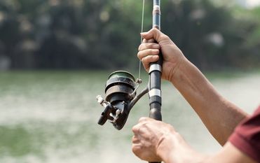 Im Lehrgang werden die theoretischen und praktischen Lerninhalte in den verschiedenen Kategorien wie Natur-, Gesetzes-, Artenkunde u.v.m. anschaulich und sicher vermittelt. Foto: fotolia