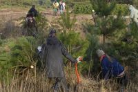 Hochbetrieb herrschte diese Woche im Springmoor bei der gemeinsamen Entkusselungsaktion der KGS Hambergen und des NABU, die bereits seit 15 Jahren kooperieren.  Foto: hc