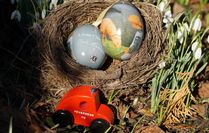 Mit der 3. Edition der Sammel-Eier „Paula“ des Lions Fördervereins Worpswede soll ein mobiles Feuerwehrauto als Galerieraum unterstützt werden.  Foto: eb