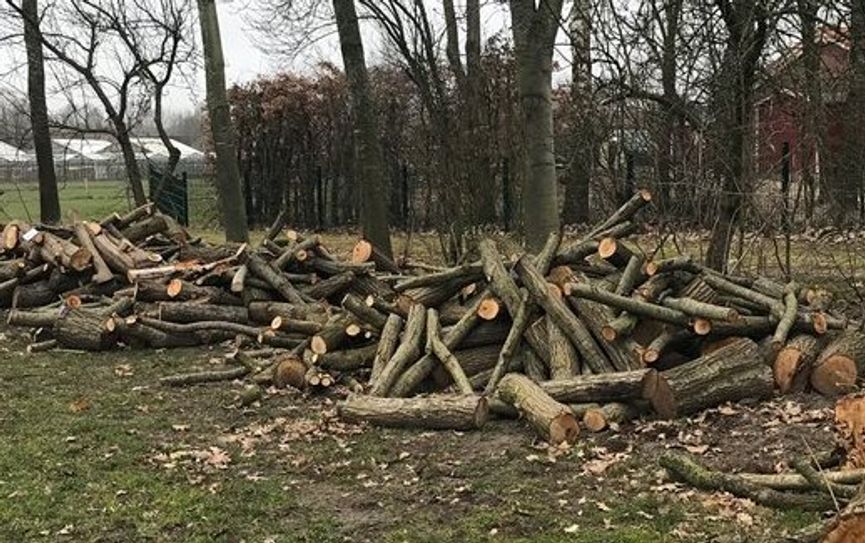In Selsingen stehen mehrere Holzstapel zur Auktion bereit. Foto: eb