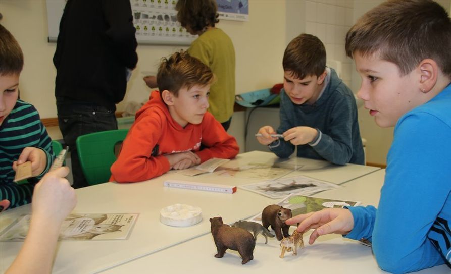 In Gruppenarbeit wurden Steckbriefe der großen Raubtiere Wolf, Bär und Luchs erarbeitet.
 Foto: sr