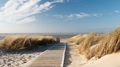 Anmeldungen für die Fahrt nach Spiekeroog sind ab sofort möglich. Foto: Symbolfoto/Fotolia
