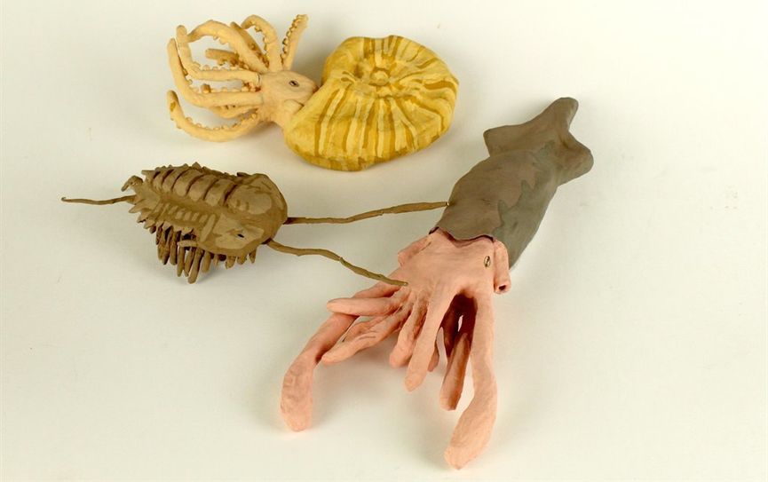 Die Nachbildungen zeigen, dass die versteinerten Tiere und Pflanzen zu Lebzeit anders aussahen.Foto:Bachmann-Museum-Bremervörde