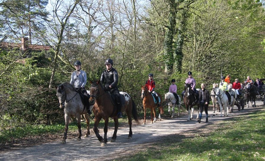Kuhstedt (eb). Beim Osterausritt des Reitvereins Kuhstedt beteiligten sich acht Kutschen und zehn Reiter. Somit hatten fast 50 Teilnehmer bei gutem Wetter sehr viel Spaß dabei, den Kindern, zuzugucken, wie sie fleißig Ostereier zu Fuss und per Pony suchten. Es ging in den Gnarrenburg Wald und von da aus wieder zurück zum Reitplatz. Ein schöner Ausflug für alle. Foto: eb