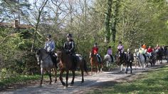 Kuhstedt (eb). Beim Osterausritt des Reitvereins Kuhstedt beteiligten sich acht Kutschen und zehn Reiter. Somit hatten fast 50 Teilnehmer bei gutem Wetter sehr viel Spaß dabei, den Kindern, zuzugucken, wie sie fleißig Ostereier zu Fuss und per Pony suchten. Es ging in den Gnarrenburg Wald und von da aus wieder zurück zum Reitplatz. Ein schöner Ausflug für alle. Foto: eb