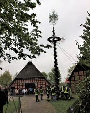 Bereits zum 20. Mal wird am 1. Mai der Maibaum vor dem Heimathaus in Kutenholz aufgestellt. Foto: eb