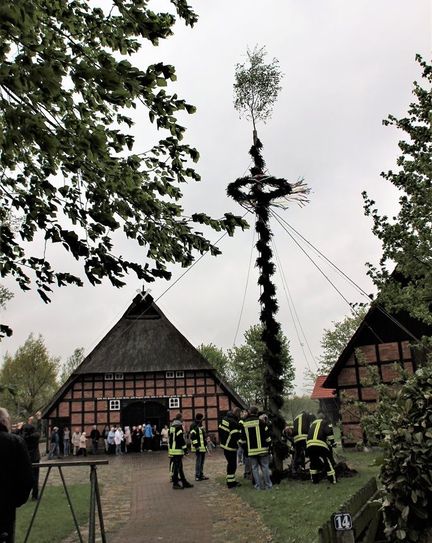 Bereits zum 20. Mal wird am 1. Mai der Maibaum vor dem Heimathaus in Kutenholz aufgestellt. Foto: eb