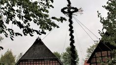 Bereits zum 20. Mal wird am 1. Mai der Maibaum vor dem Heimathaus in Kutenholz aufgestellt. Foto: eb