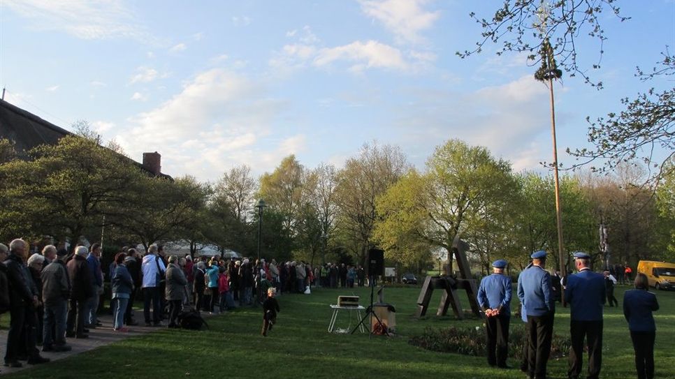 Bereits zum achten Mal wird am 30. April auf den Barther Wiesen ein Maibaum aufgestellt. Foto: eb