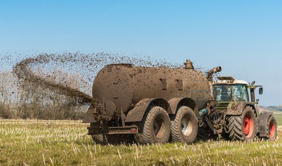 Der Nährstoffbericht bestätige, dass die Überschüsse an Gülle aus Tierhaltungen und an Gärresten aus Biogasanlagen nicht verringert wurden. Foto: Wolfgang Jargstorff/Fotolia
