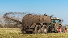 Der Nährstoffbericht bestätige, dass die Überschüsse an Gülle aus Tierhaltungen und an Gärresten aus Biogasanlagen nicht verringert wurden. Foto: Wolfgang Jargstorff/Fotolia