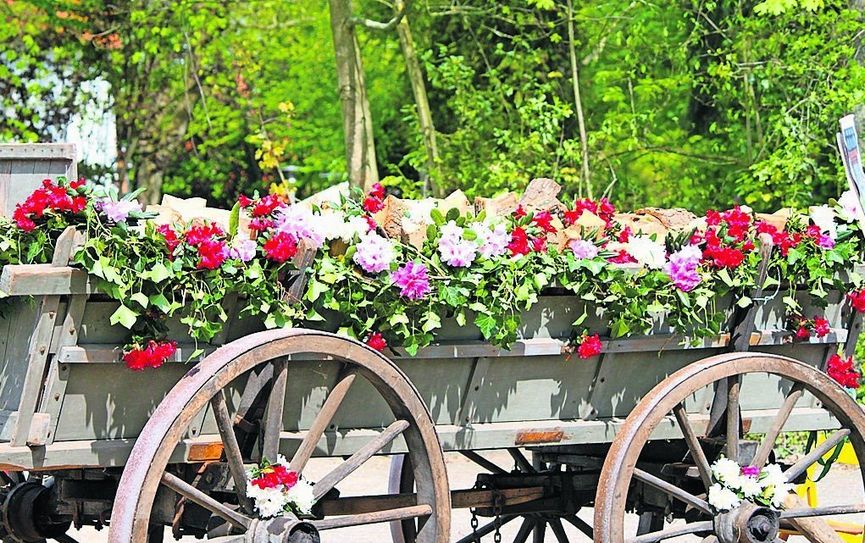 Wer am 1. Mai frühlingshafte Stimmung und florale Gestaltungen genießen möchte, macht sich auf zum Maimarkt.  Foto: Archiv