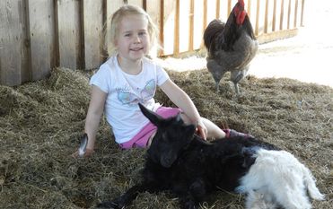 Das Zicklein genießt die Streicheleinheiten von Julia. Foto: eb