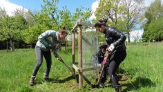 Fleißige Helfer arbeiten auf der Streuobstwiese und sorgen dafür, dass sie auch weiterhin ein schönes Angebot für Natur und Mensch bleibt.  Foto: mf