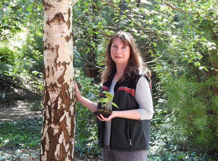 Die Waldpädagogin Frauke Klemme lädt auf eine besondere Naturerlebnisführung ein. Foto: eb