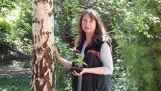 Die Waldpädagogin Frauke Klemme lädt auf eine besondere Naturerlebnisführung ein. Foto: eb
