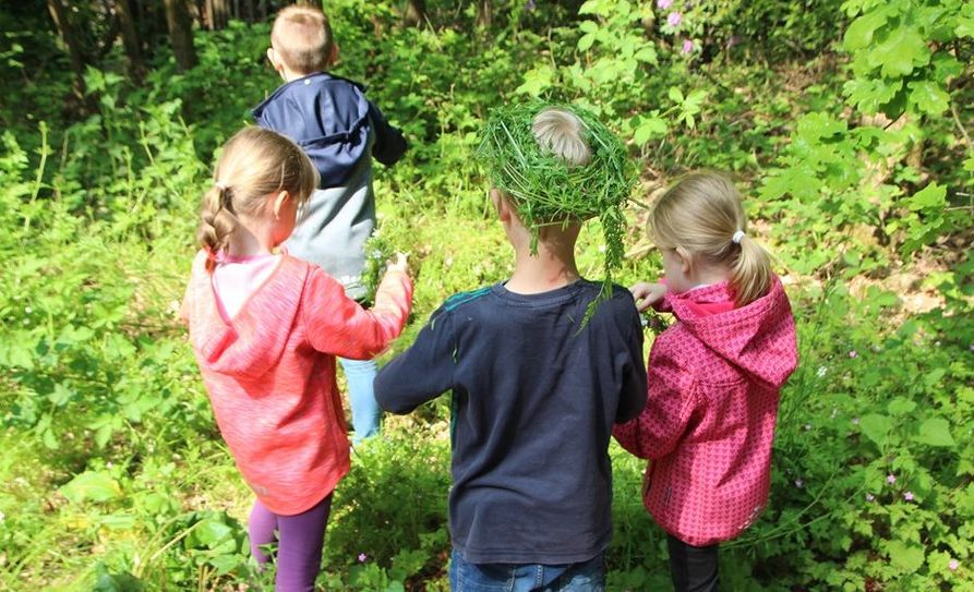 Neugierig wird der Wald von den Kindern erforscht. Bei schönem Wetter durchforsteten 120 Kinder den Heilshorner Wald.   Foto: Niedersächsische Landesforsten