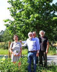 Kathrin Widhalm, Peter Ulrich (vorne) und Christoph Bayer (hinten Mitte) vom Vorstand der Stiftung Worpswede sowie Landschaftsgärtner Philipp Uphoff, wollen den Baumbestand in Worpswede erhalten. Mit ihrem neuen Projekt setzen sie ein Zeichen im Sinne des Klimaschutzes. Foto: mr