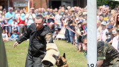 Hepp! Auf den Arm… - das mögen nicht alle Hunde. Dieser muss, und - unglaublich aber wahr - fallschirmspringende Hunde waren auch dabei.  Foto: ek