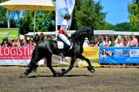 Auch in diesem Jahr einHighlight und Publikumsmagnet: DIe Tarmstdter Ausstellung jäjrt sich zum 71. Mal und lädt zu einem vielfältigen Programm für die ganze Familie ein. Foto: gmc