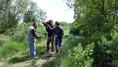 Moor zum Anfassen.  Klaus Hinze nahm Kameramann Lars Tolis und RTL-Nordmoderator Jan Bockemüller auf den Naturerlebnispfad im „Großen Moor“ bei Bokel mit. Sehr zu bedauern der beiden Fernsehleute gab es keine schaurigen Moorgeschichten. Foto: khe