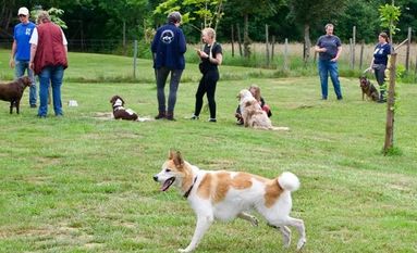 Zwei- und Vierbeinder hatten auf dem Sommerfest jede Menge Spaß. Foto: eb