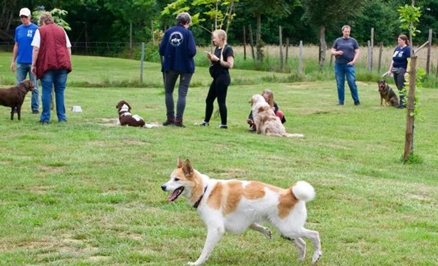 Zwei- und Vierbeinder hatten auf dem Sommerfest jede Menge Spaß. Foto: eb