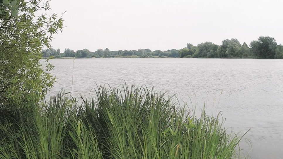 Im Vörder See haben sich gefährliche Blaualgen gebildet. Die Natur- und Erlebnispark GmbH weist deswegen ausdrücklich darauf hin, das Gewässer nicht zu betreten, gerade bei Kindern können schlimme Symptome ausgelöst werden.Foto: Archiv