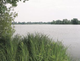 Im Vörder See haben sich gefährliche Blaualgen gebildet. Die Natur- und Erlebnispark GmbH weist deswegen ausdrücklich darauf hin, das Gewässer nicht zu betreten, gerade bei Kindern können schlimme Symptome ausgelöst werden.Foto: Archiv