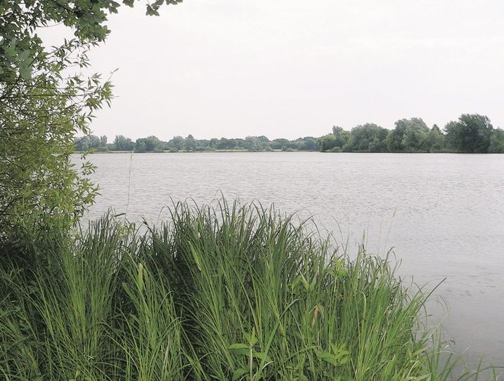 Im Vörder See haben sich gefährliche Blaualgen gebildet. Die Natur- und Erlebnispark GmbH weist deswegen ausdrücklich darauf hin, das Gewässer nicht zu betreten, gerade bei Kindern können schlimme Symptome ausgelöst werden.Foto: Archiv