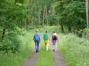 Die „Wanderfreunde Nordpfade“ wandern in der Wümmeniederung. Foto: TouROW