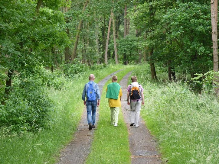 Die „Wanderfreunde Nordpfade“ wandern in der Wümmeniederung.  Foto: TouROW