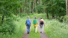 Die „Wanderfreunde Nordpfade“ wandern in der Wümmeniederung.  Foto: TouROW