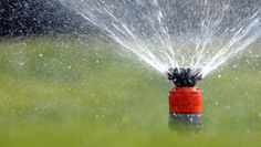 Ein Rasensprenger verbraucht bis zu 800 Liter je Stunde. Der verantwortungsvolle Umgang mit Wasser ist nicht nur in heißen Sommerzeiten notwendig. Foto: Adobe Stock/Gerhard Seybert