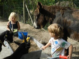 Tierbegegnung hautnah im Beverstedter Tierpark Cux-Art. Foto: eb