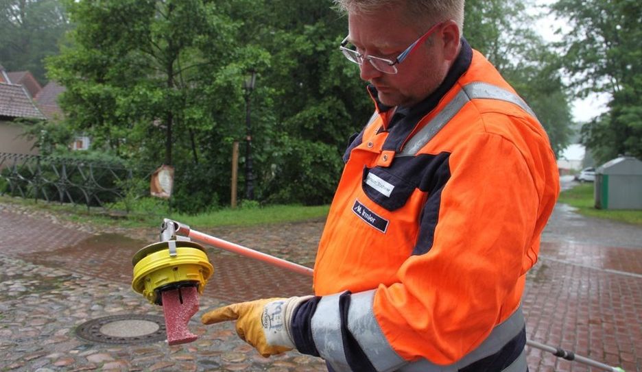 "Hier hat die Ratte abgebissen."  Foto: eb