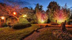 Mit akzentuierten und wohnlichen Lichteffekten schaffen Beleuchtungsexperten völlig neue Perspektiven auf ausgewählte Gärten und Parkbereiche. Foto: eb/Hans Jürgen Zietz