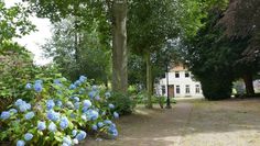 Der Museumsgarten befindet sich auf einem herrlichen, parkähnlichen Gelände. Foto: eb