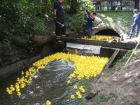 Die New Comix treten am Samstagabend auf der Seebühne auf und sorgen für eine hörenswerte Rocknacht. Foto: eb