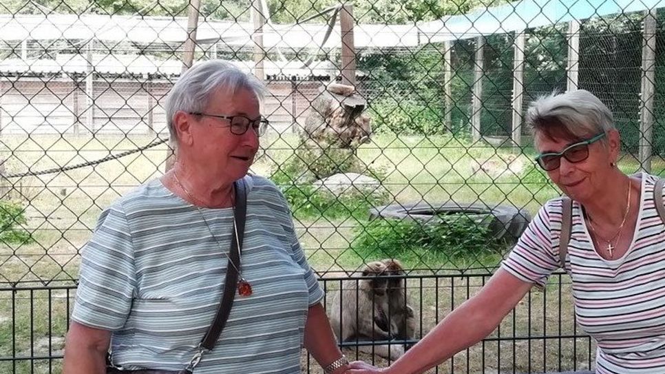 Die Gruppe konnte im Tierpark Ludwigslust sogar ein Affenbaby beobachten.  Foto: eb
