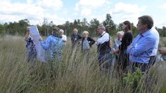 Exkursion in das Ahrensfelder Moor und Begutachtung der Vernässung der Moorflächen durch die Anlegung von Poldern.  Foto: hc